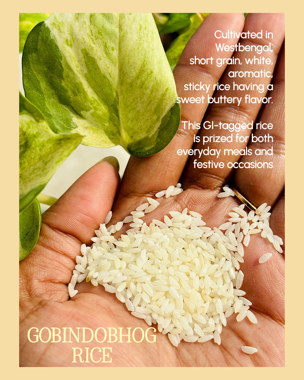 Gawa Ghee & Gobindobhog Rice Combo